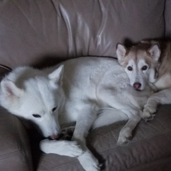 Meet your Posher, Michelle - Picture 2 of 2